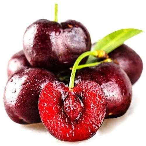 Cây Cherry đỏ - Cung cấp giống cây Cherry đỏ chất lượng cao