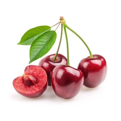 Cây Cherry đỏ - Cung cấp giống cây Cherry đỏ chất lượng cao